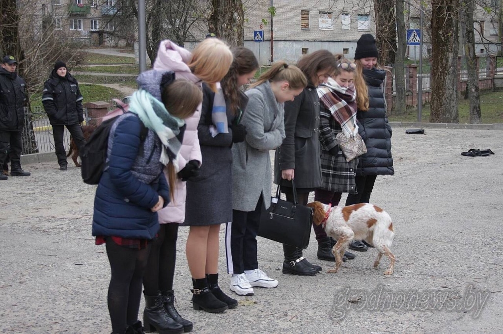 12.jpg