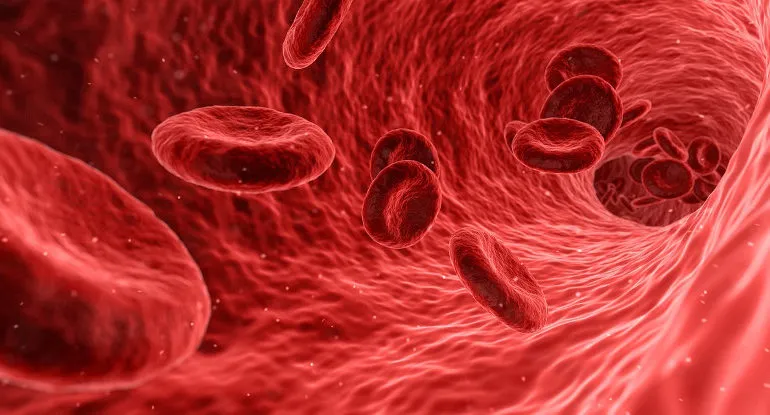 blood-1813410_1280_31651-770x415.jpg