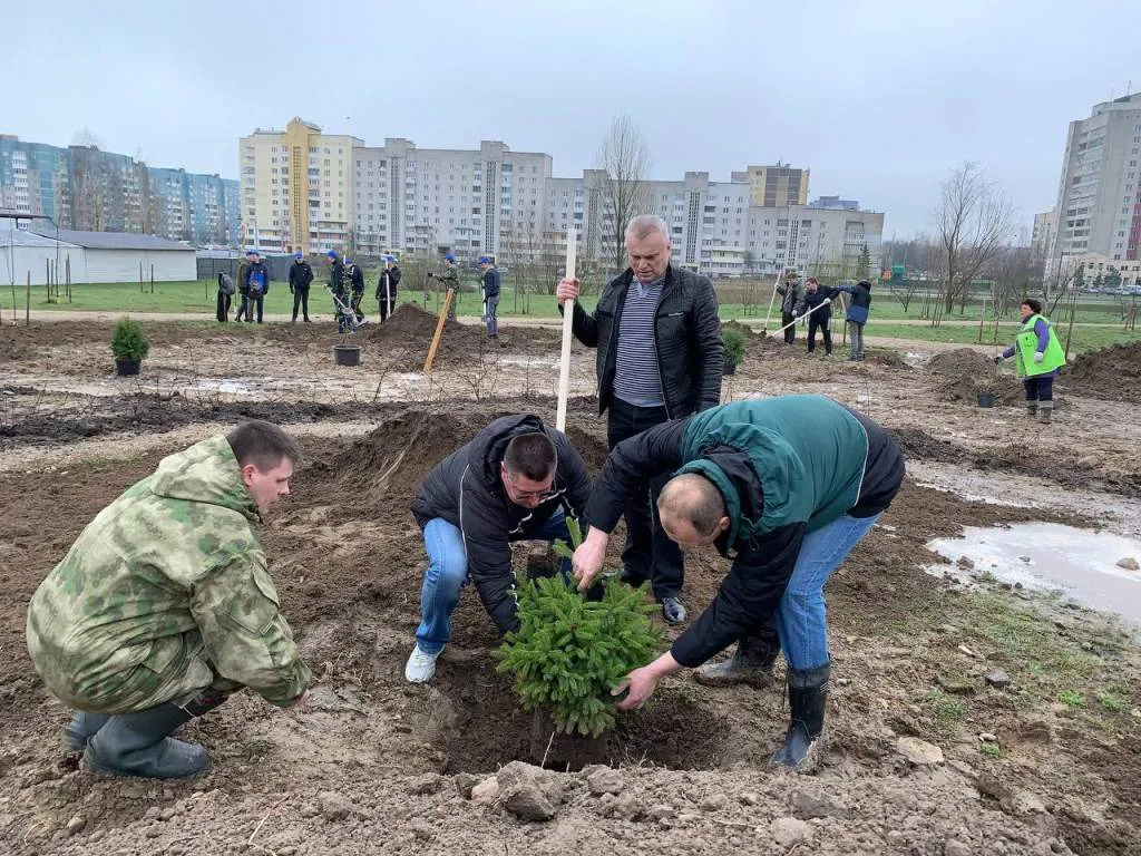 АЛР 2.jpg