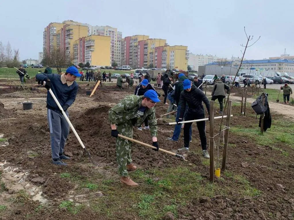 АЛР 7.jpg