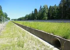 Переход для лягушек. Как земноводные путешествуют под трассой М6