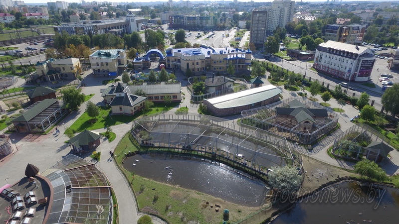Ребята о зверятах. Гродненский зоопарк приглашает поучаствовать в фотоконкурсе