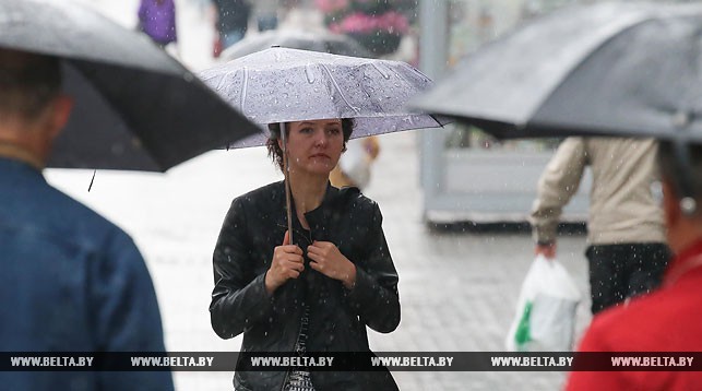 До 26 градусов тепла ожидается в Беларуси 3 сентября, по западу грозы До 26 градусов тепла ожидается в Беларуси 3 сентября, по западу грозы
