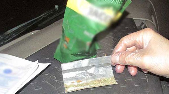Белорусские пограничники изъяли марихуану у водителя грузовика Белорусские пограничники изъяли марихуану у водителя грузовика