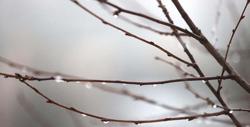 До +10°C и дождь будет в Беларуси 17 февраля До +10°C и дождь будет в Беларуси 17 февраля