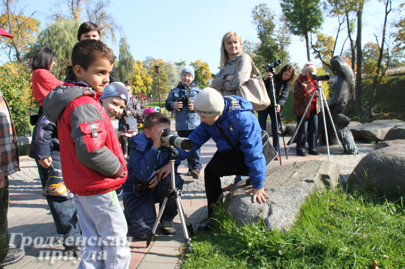 В Гродно подсчитали птиц В Гродно подсчитали птиц
