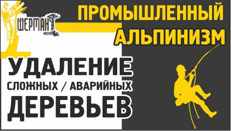 Доменяко П.Е.