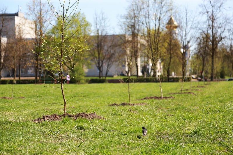В Гродно 5 мая добровольцы выйдут, чтобы сделать свой город еще краше
