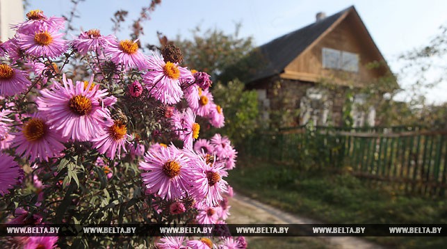 В Беларуси похолодает к середине недели