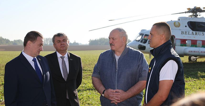 "Перестать кланяться импортному яблоку". Александр Лукашенко о задаче страны в плодоводстве