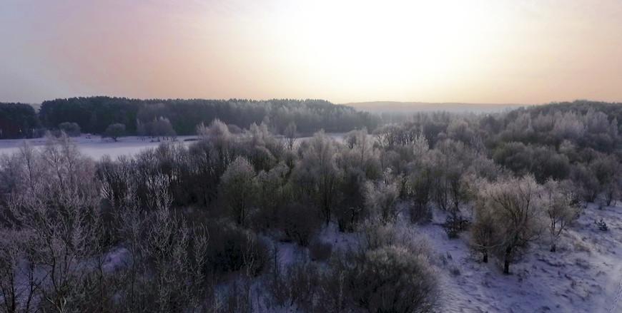 Средняя температура воздуха в Беларуси за январь была выше климатической нормы на 3,4 градуса Средняя температура воздуха в Беларуси за январь была выше климатической нормы на 3,4 градуса