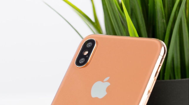 Новые iPhone возможно не будут работать на территории России Новые iPhone возможно не будут работать на территории России