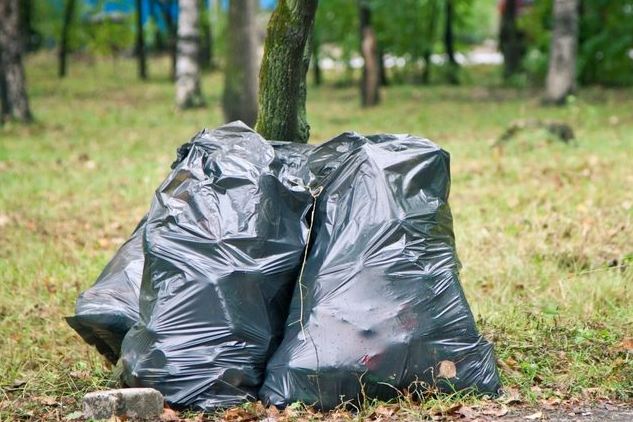 Жители Лиды присоединились к международному флешмобу против мусора