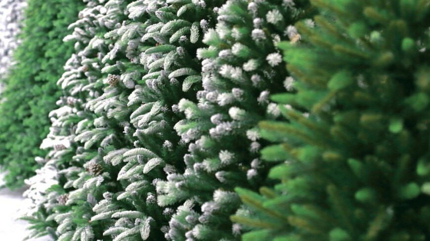 Как выбрать искусственную ель? Инструкция