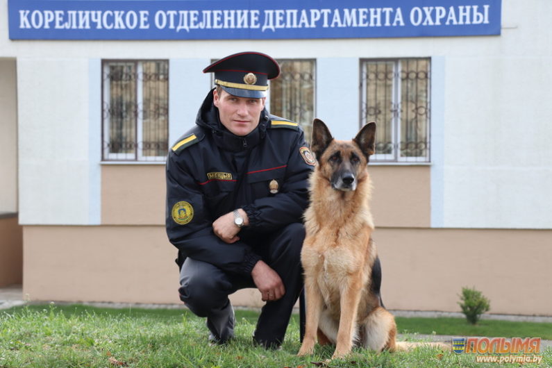 В Кореличском районе преступников нашли по запаху В Кореличском районе преступников нашли по запаху