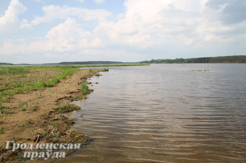 От чего пострадала рыба в акватории Гродненского водохранилища? От чего пострадала рыба в акватории Гродненского водохранилища?