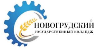 Новогрудский государственный колледж