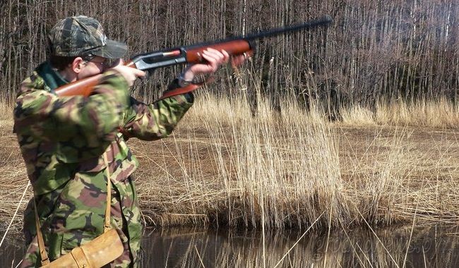 Стрелял в кабана, ранил сына Стрелял в кабана, ранил сына
