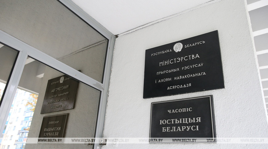 Минприроды высадило во время субботника более 17 тыс. деревьев и кустарников по всей стране Минприроды высадило во время субботника более 17 тыс. деревьев и кустарников по всей стране