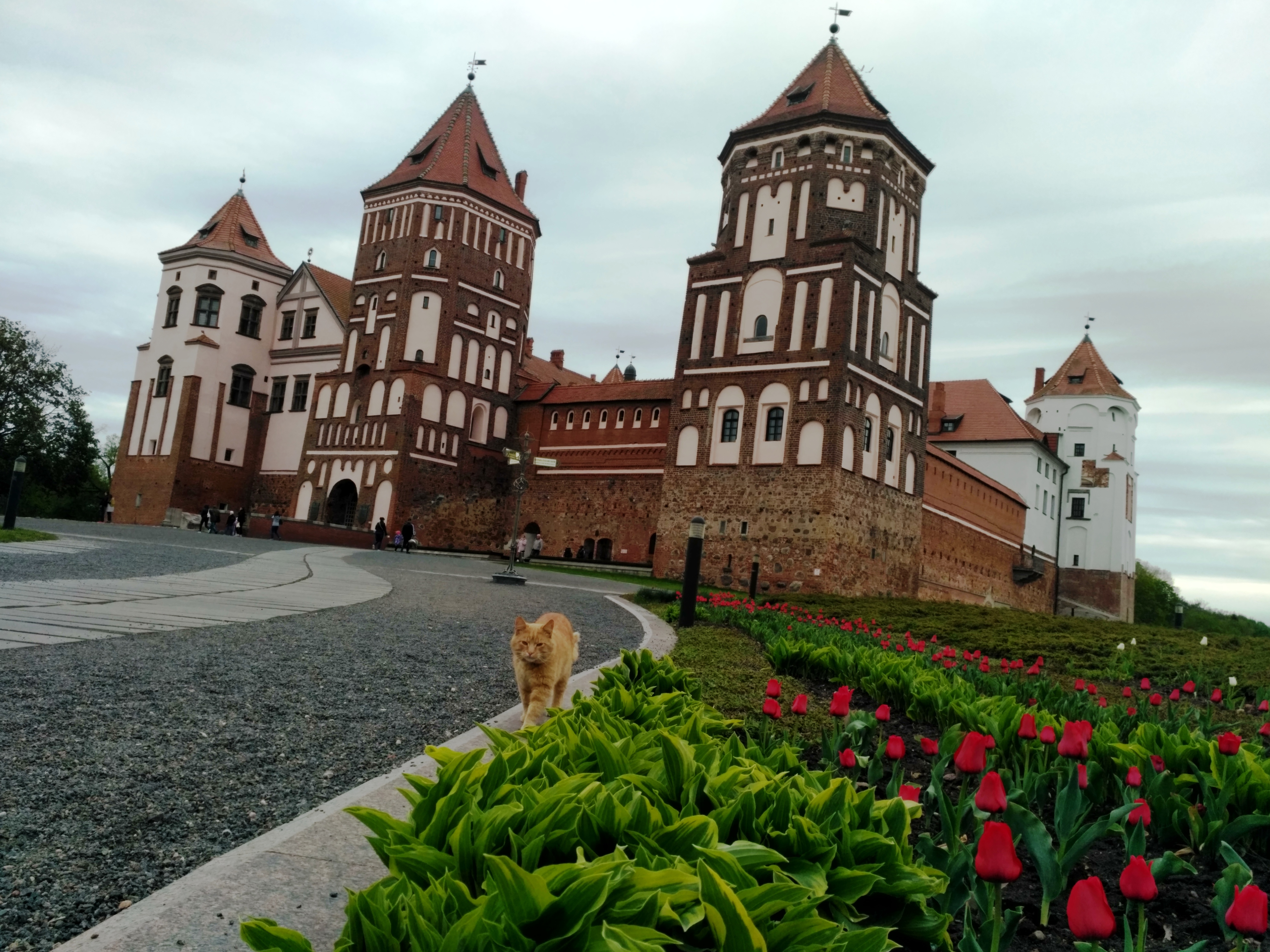 цікавыя мясціны беларусі. цікавыя мясціны беларусі. мирский замок в белоруссии. минск мирский замок. поселок мир беларусь мирский замок.