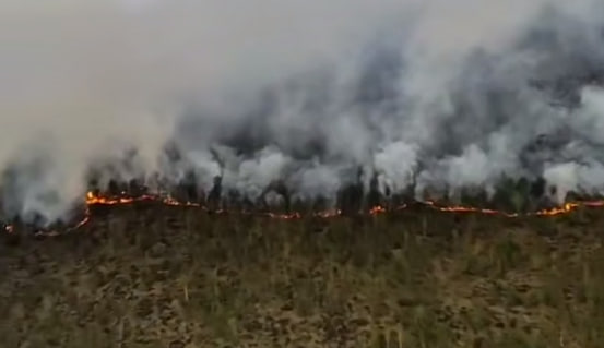 В Вороновском районе разбушевался лесной пожар