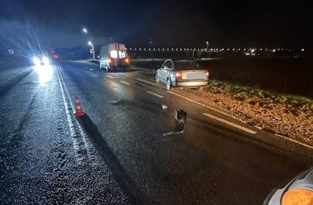 В Гродненском районе в ДТП пострадал пешеход