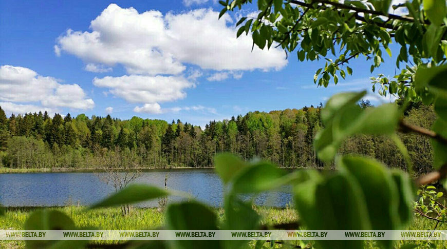 В Беларуси ограничено купание в 18 зонах отдыха, запрещено в 17 В Беларуси ограничено купание в 18 зонах отдыха, запрещено в 17