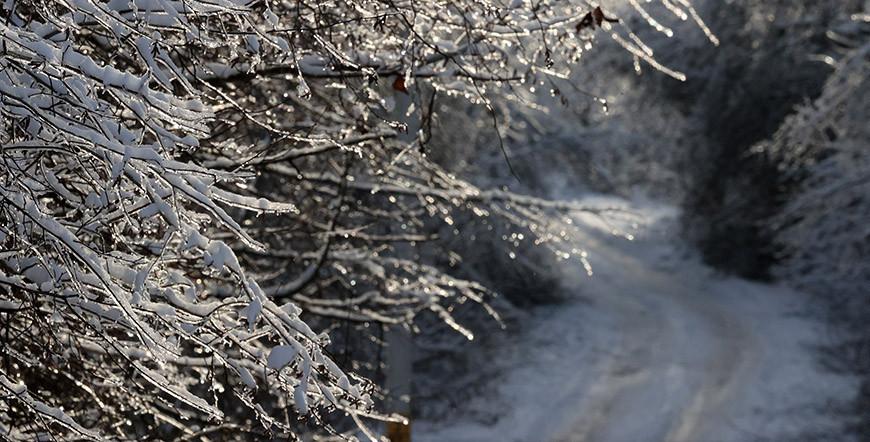 Снег и гололедицу прогнозируют синоптики в Беларуси 4 декабря Снег и гололедицу прогнозируют синоптики в Беларуси 4 декабря