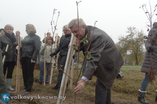 Шаги в профессию. Во вспомогательной школе-интернате Волковыска заложили сад Шаги в профессию. Во вспомогательной школе-интернате Волковыска заложили сад