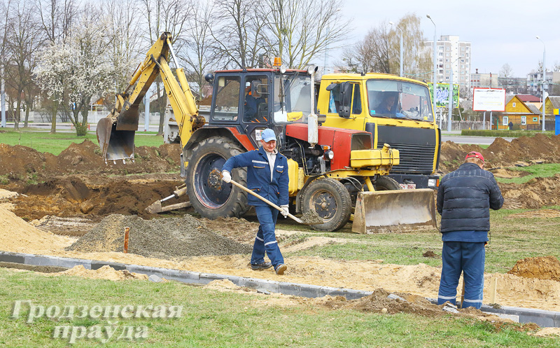 В Гродно проведут субботник и посадят более 3 тысяч деревьев