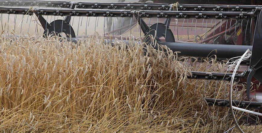 КГК Гродненской области выявил нарушения при проверке готовности кормозаготовительной техники