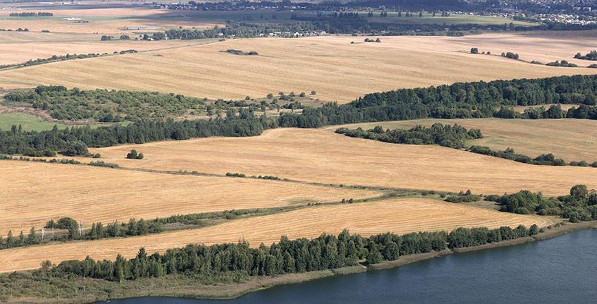 Александр Лукашенко назвал четыре главные проблемы, которые тормозят мелиорацию