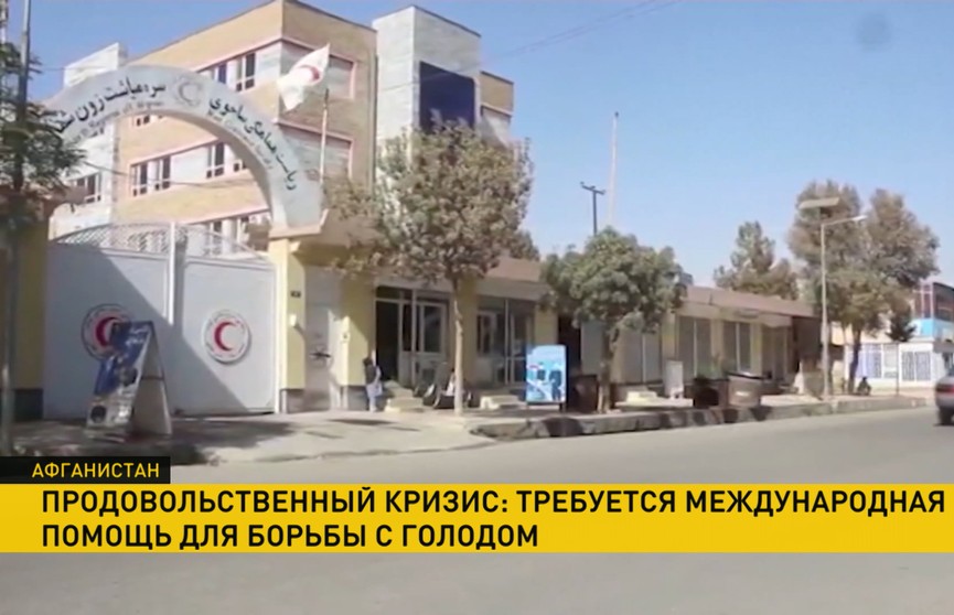 Афганистану грозит продовольственный кризис. Талибы просят помощи Афганистану грозит продовольственный кризис. Талибы просят помощи