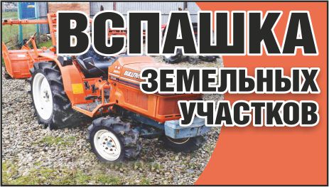 ИП Дейкало А.Б. 