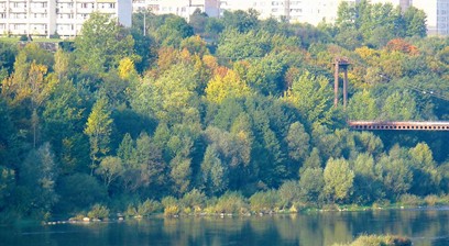 В лесопарке Румлево прошла экологическая игра «Экофест»