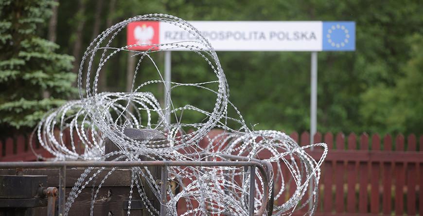 Сморгонские пограничники на границе с Литвой обнаружили труп лося Сморгонские пограничники на границе с Литвой обнаружили труп лося