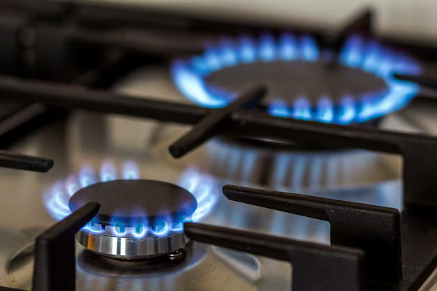 В Сморгонском районе на ребенке загорелась одежда от газовой плиты В Сморгонском районе на ребенке загорелась одежда от газовой плиты