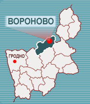 Председатель облисполкома Владимир Кравцов побывал в Вороновском районе