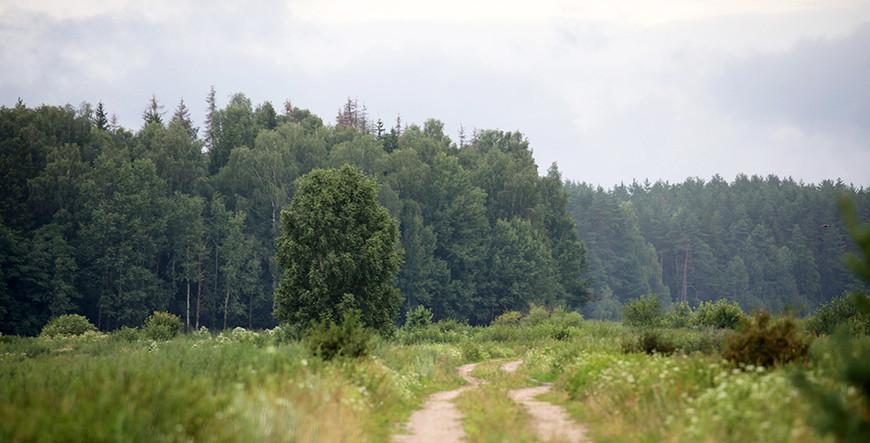 До +34°С и грозы прогнозируют в Беларуси 18 августа