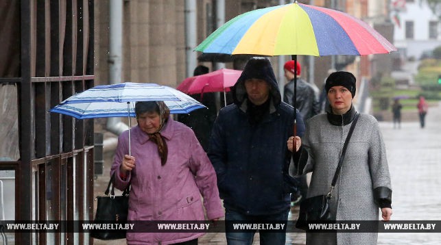Дожди и порывистый ветер ожидаются в Беларуси 8 сентября
