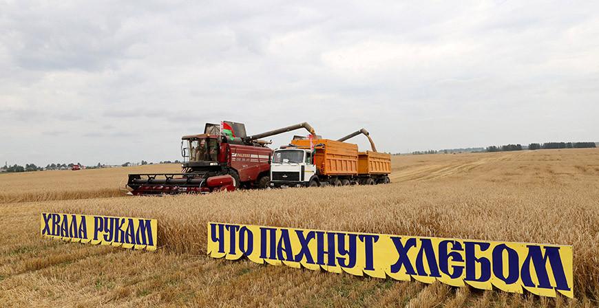 Победителей конкурса «Хвала рукам, что пахнут хлебом» наградили в Городке