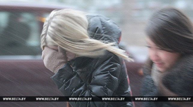 Порывистый ветер и осадки прогнозируются в Беларуси 30 октября