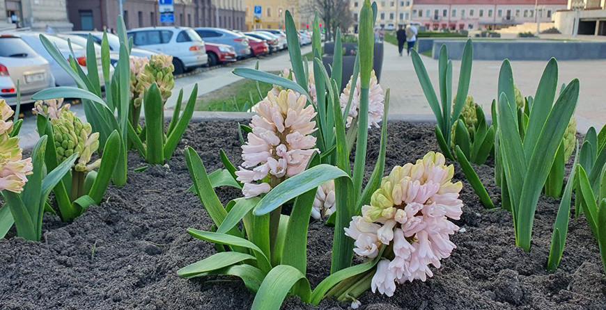 До +20°С ожидается в Беларуси 12 апреля До +20°С ожидается в Беларуси 12 апреля