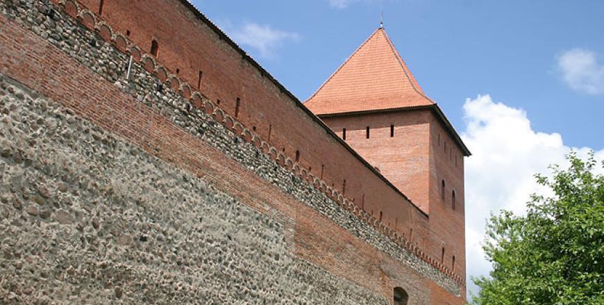 Виртуальный проект "Они освобождали Лидчину" представили в Лидском историко-художественном музее Виртуальный проект "Они освобождали Лидчину" представили в Лидском историко-художественном музее