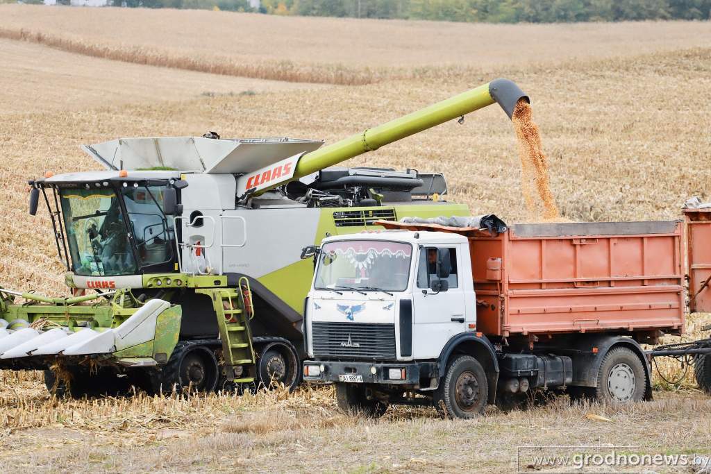 61jzy5xhykbzs1mbswzzpuye12v67bwe.jpg
