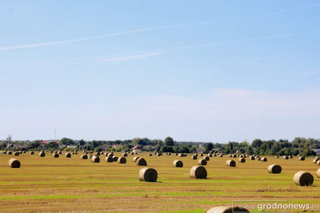 IMG_4872.JPG