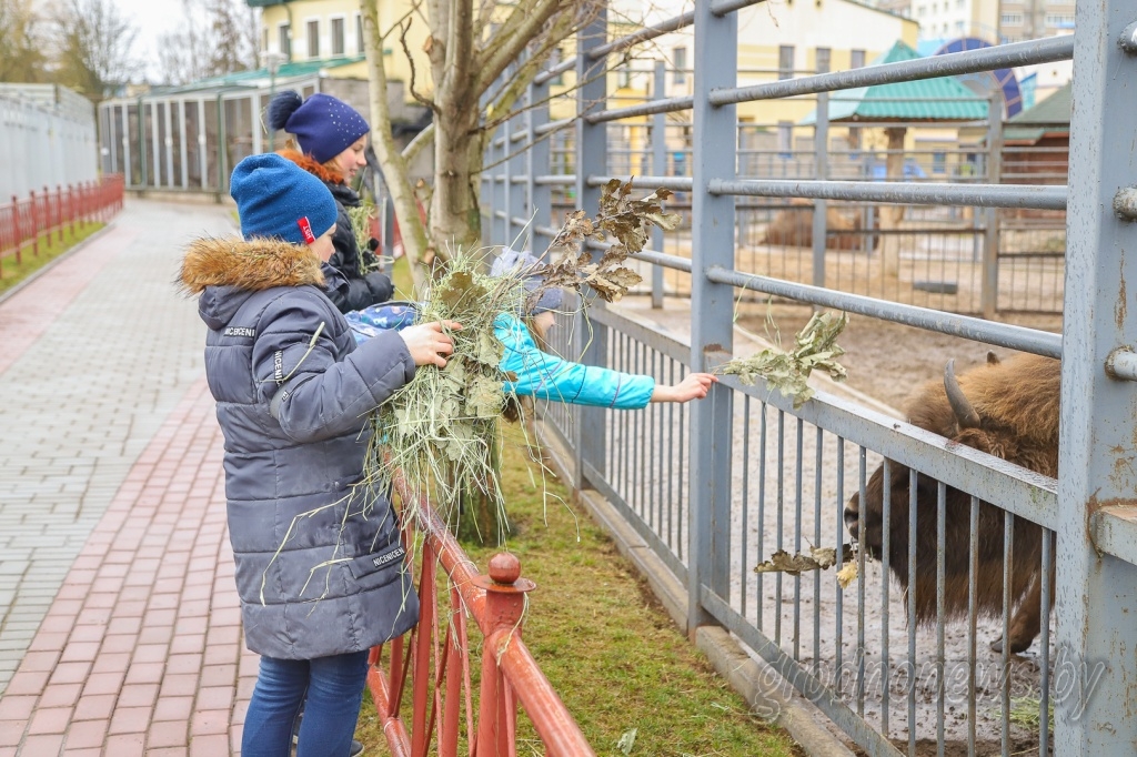 20190310-IMG_1827.jpg