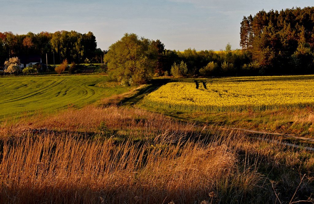 13.DSC_5042.png
