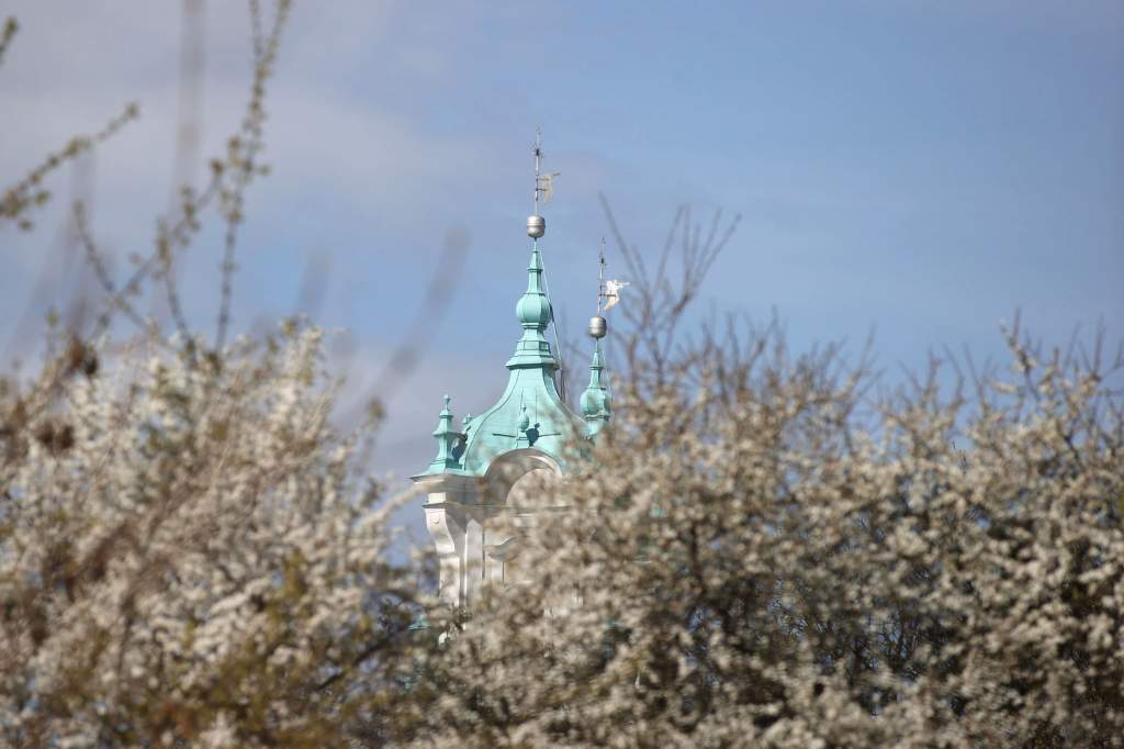 240398-02.jpg