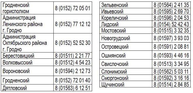 Безымянный.JPG